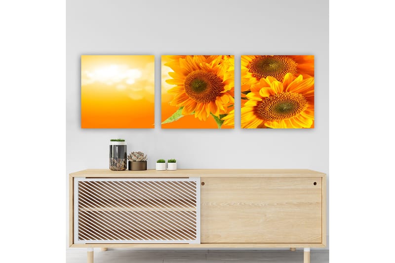 Dekorativ Canvasbilde 3-Deler 30x30 cm - Flerfarget - Innredning - Bilder & kunst - Lerretsbilder