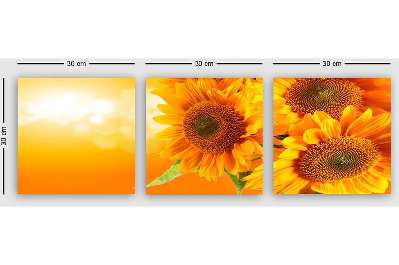 Dekorativ Canvasbilde 3-Deler 30x30 cm - Flerfarget - Innredning - Bilder & kunst - Lerretsbilder