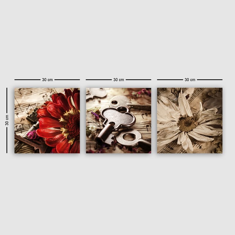 Dekorativ Canvasbilde 3-Deler 30x30 cm - Flerfarget - Innredning - Bilder & kunst - Lerretsbilder
