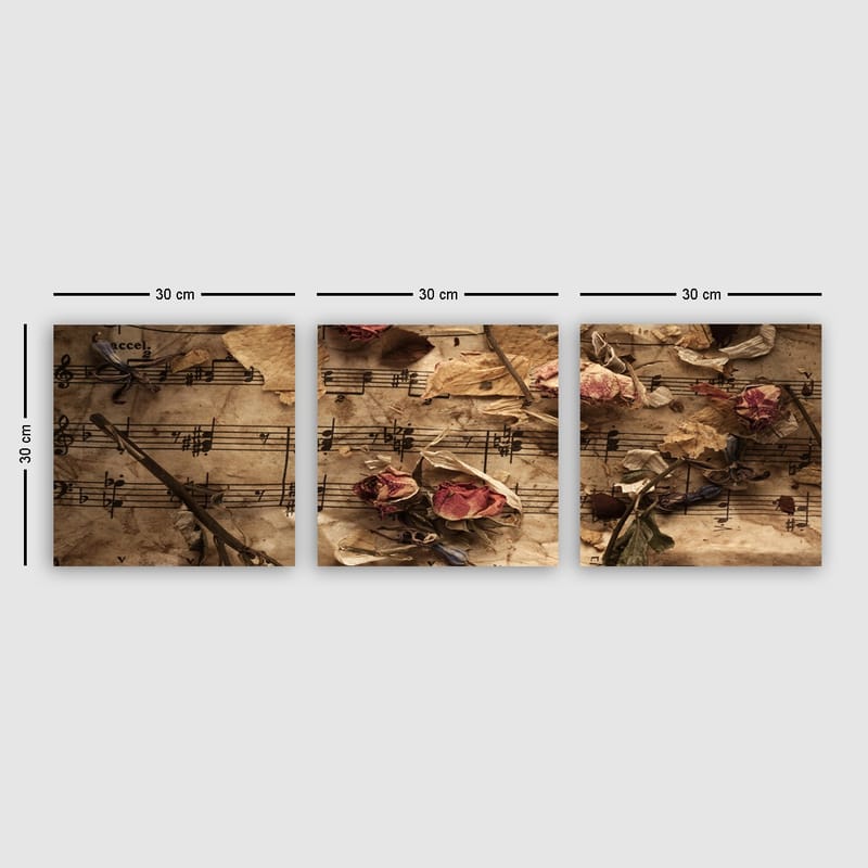Dekorativ Canvasbilde 3-Deler 30x30 cm - Flerfarget - Innredning - Bilder & kunst - Lerretsbilder