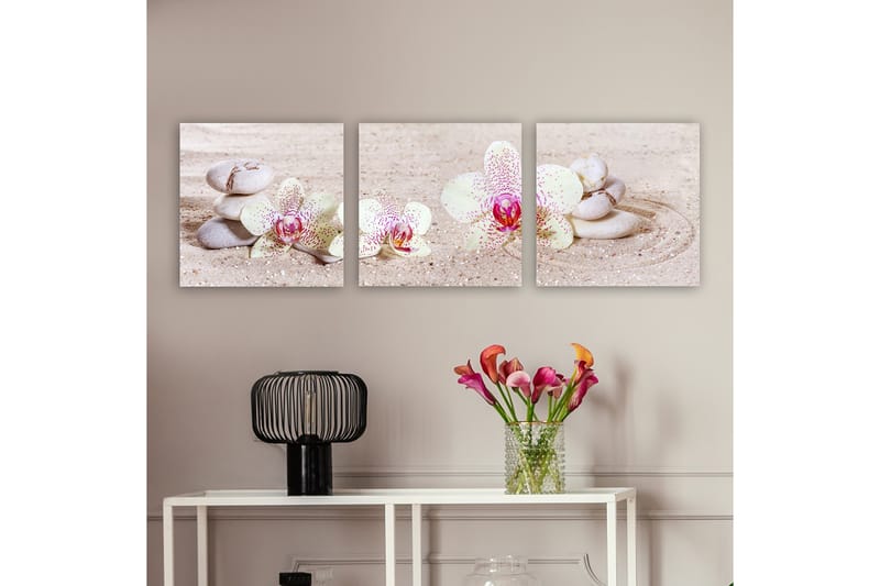 Dekorativ Canvasbilde 3-Deler 30x30 cm - Flerfarget - Innredning - Bilder & kunst - Lerretsbilder