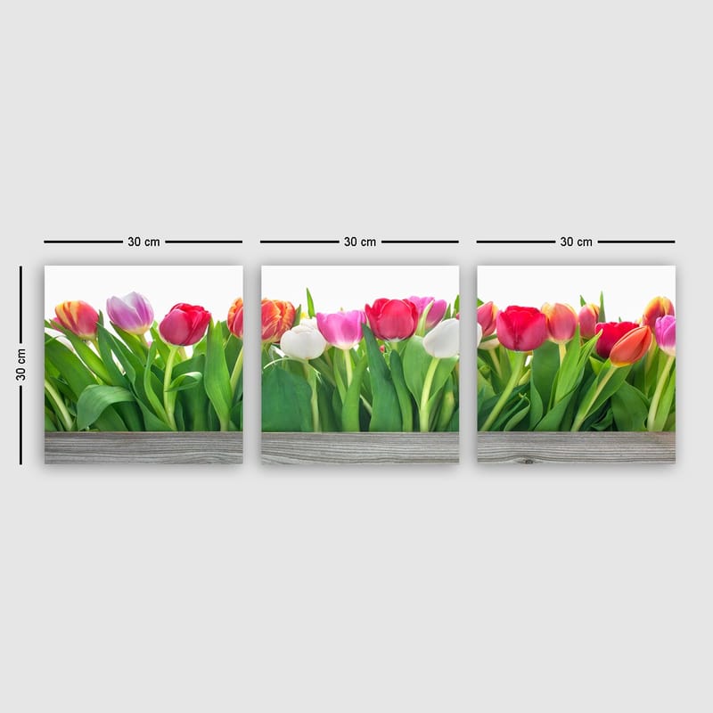 Dekorativ Canvasbilde 3-Deler 30x30 cm - Flerfarget - Innredning - Bilder & kunst - Lerretsbilder