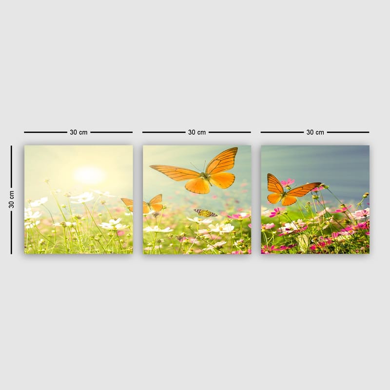 Dekorativ Canvasbilde 3-Deler 30x30 cm - Flerfarget - Innredning - Bilder & kunst - Lerretsbilder