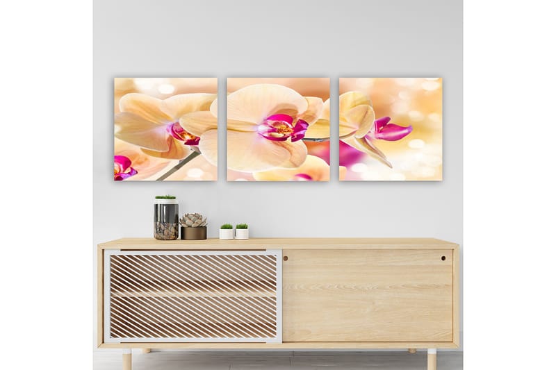 Dekorativ Canvasbilde 3-Deler 30x30 cm - Flerfarget - Innredning - Bilder & kunst - Lerretsbilder