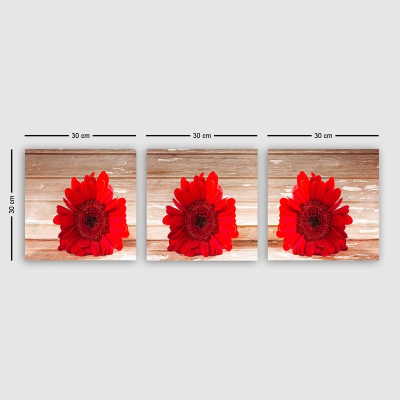 Dekorativ Canvasbilde 3-Deler 30x30 cm - Flerfarget - Innredning - Bilder & kunst - Lerretsbilder