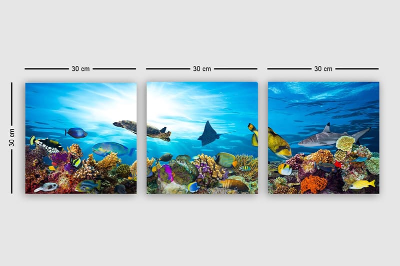 Dekorativ Canvasbilde 3-Deler 30x30 cm - Flerfarget - Innredning - Bilder & kunst - Lerretsbilder