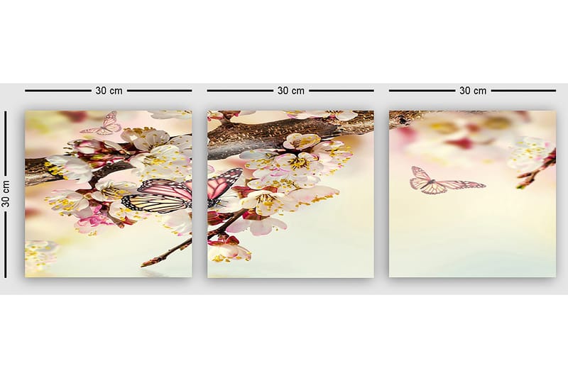 Dekorativ Canvasbilde 3-Deler 30x30 cm - Flerfarget - Innredning - Bilder & kunst - Lerretsbilder