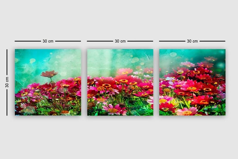 Dekorativ Canvasbilde 3-Deler 30x30 cm - Flerfarget - Innredning - Bilder & kunst - Lerretsbilder