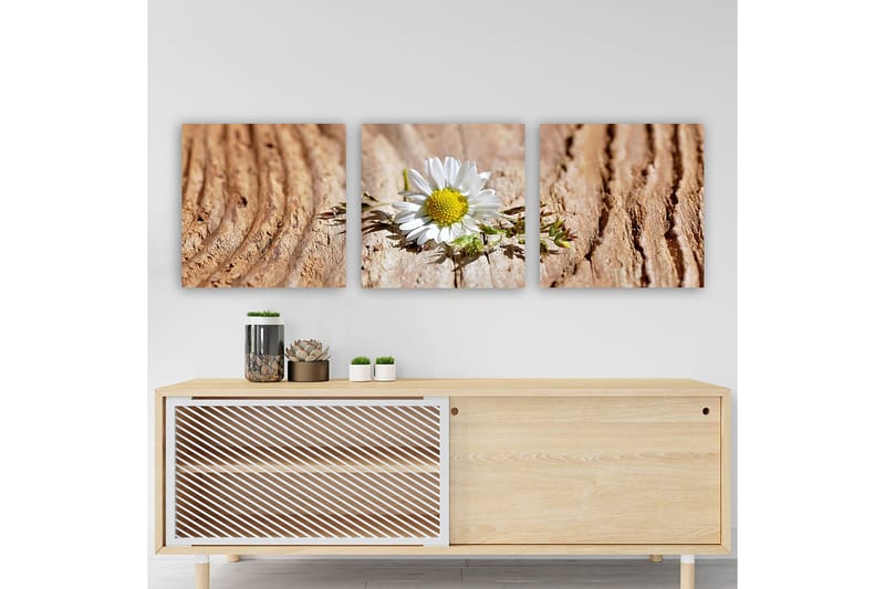 Dekorativ Canvasbilde 3-Deler 30x30 cm, Flerfarget