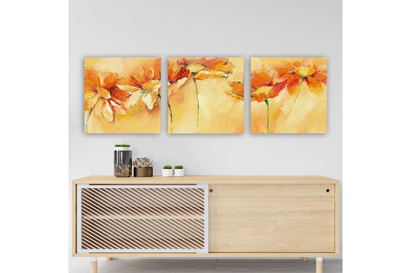 Dekorativ Canvasbilde 3-Deler 30x30 cm, Flerfarget