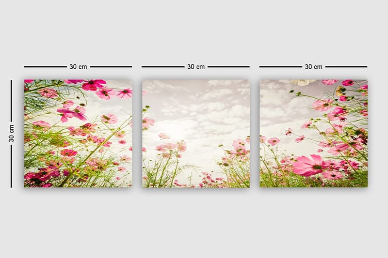 Dekorativ Canvasbilde 3-Deler 30x30 cm - Flerfarget - Innredning - Bilder & kunst - Lerretsbilder