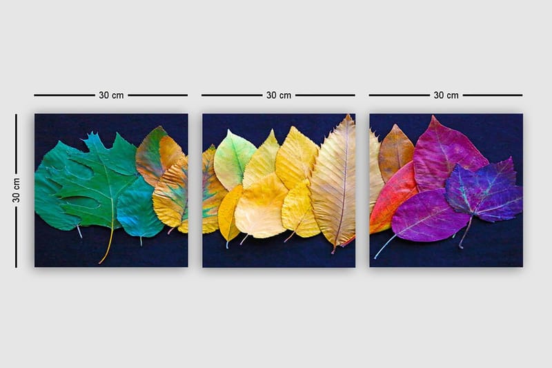 Dekorativ Canvasbilde 3-Deler 30x30 cm - Flerfarget - Innredning - Bilder & kunst - Lerretsbilder