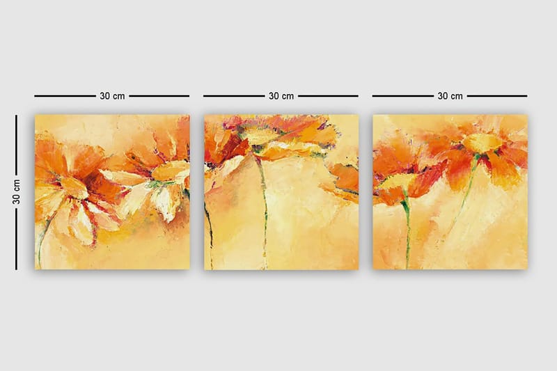 Dekorativ Canvasbilde 3-Deler 30x30 cm - Flerfarget - Innredning - Bilder & kunst - Lerretsbilder