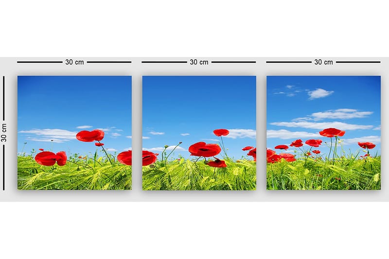 Dekorativ Canvasbilde 3-Deler 30x30 cm - Flerfarget - Innredning - Bilder & kunst - Lerretsbilder