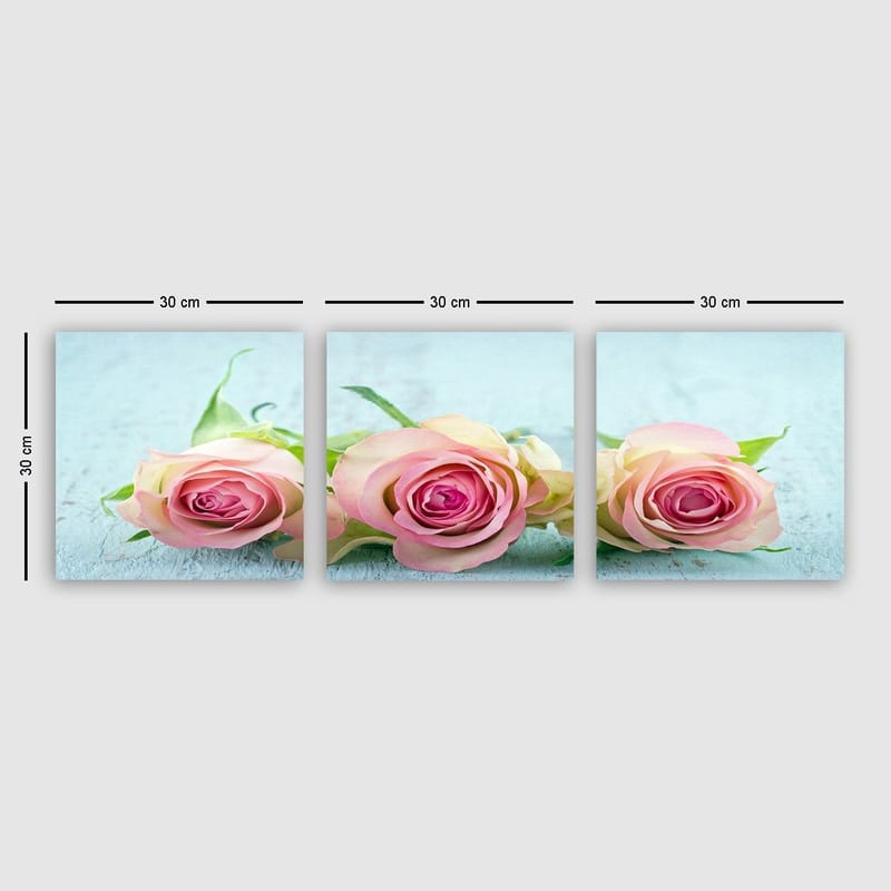 Dekorativ Canvasbilde 3-Deler 30x30 cm, Flerfarget