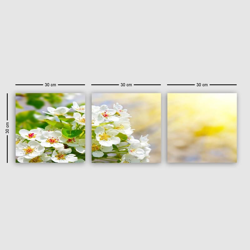Dekorativ Canvasbilde 3-Deler 30x30 cm, Flerfarget