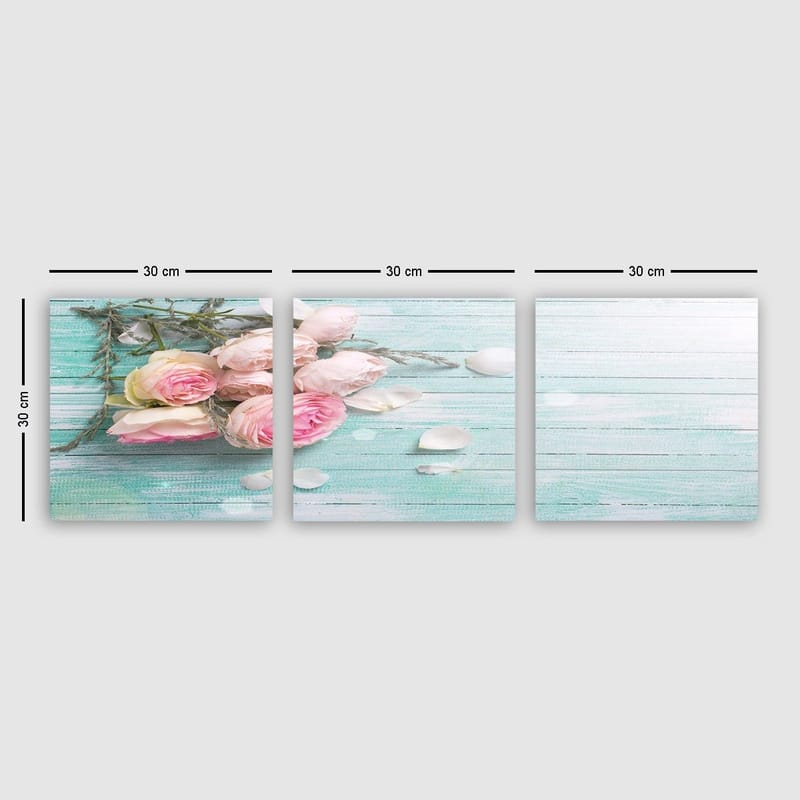 Dekorativ Canvasbilde 3-Deler 30x30 cm, Flerfarget