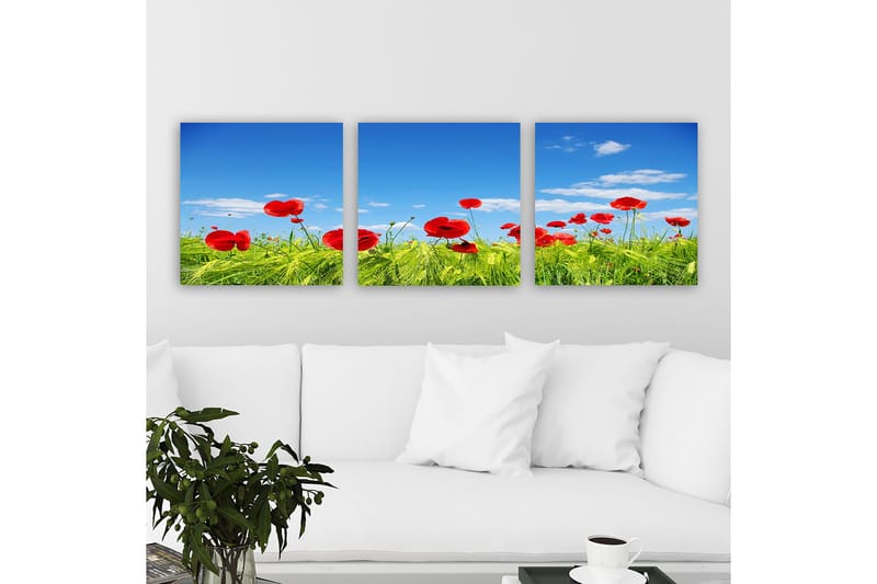 Dekorativ Canvasbilde 3-Deler 30x30 cm, Flerfarget