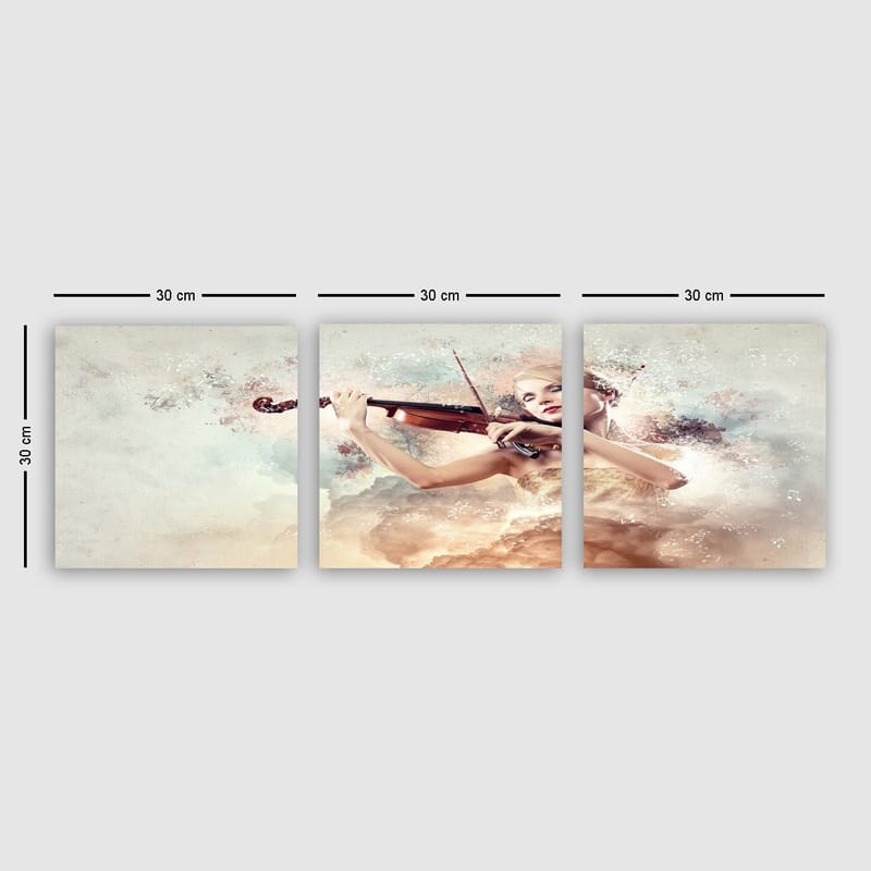 Dekorativ Canvasbilde 3-Deler 30x30 cm, Flerfarget