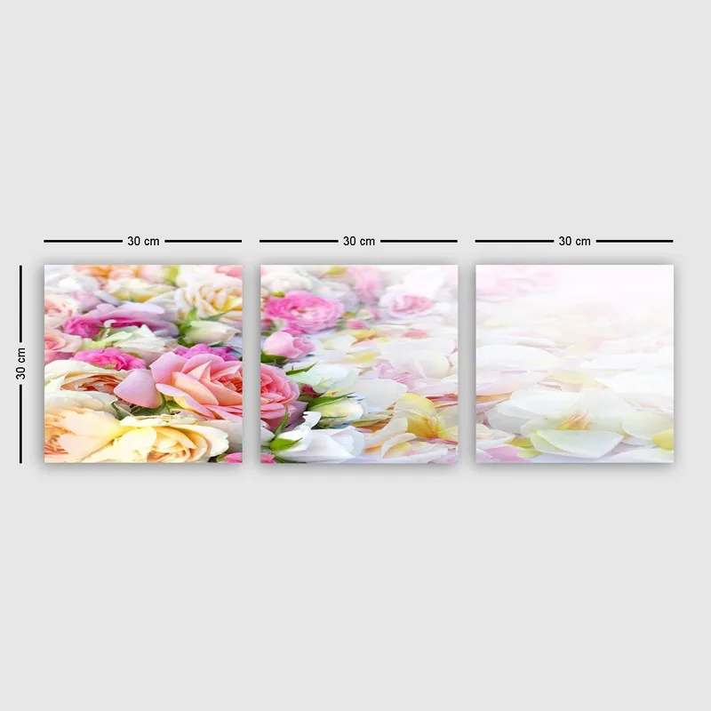 Dekorativ Canvasbilde 3-Deler 30x30 cm, Flerfarget