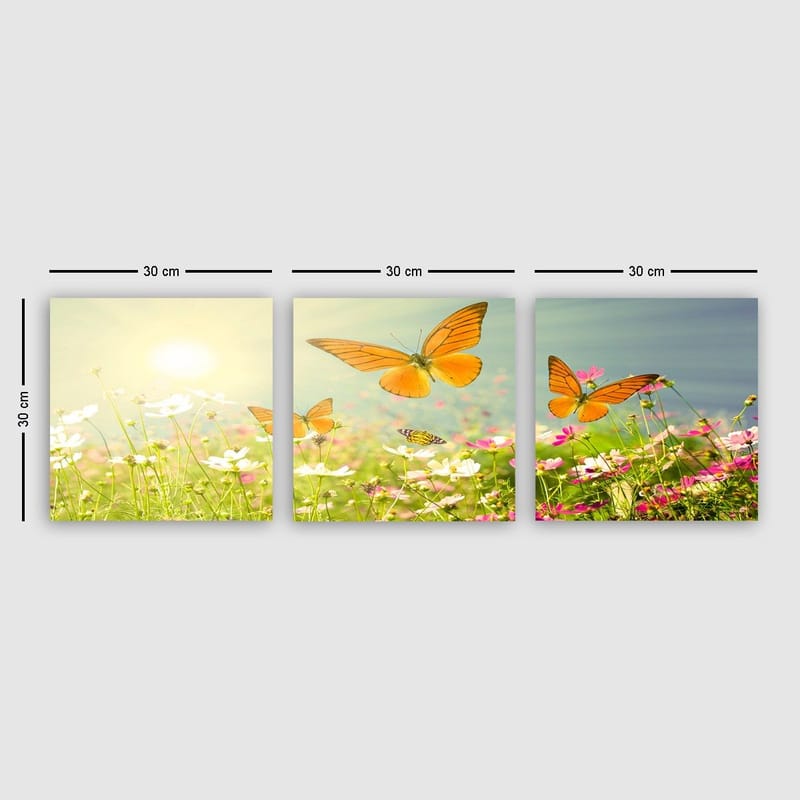 Dekorativ Canvasbilde 3-Deler 30x30 cm, Flerfarget