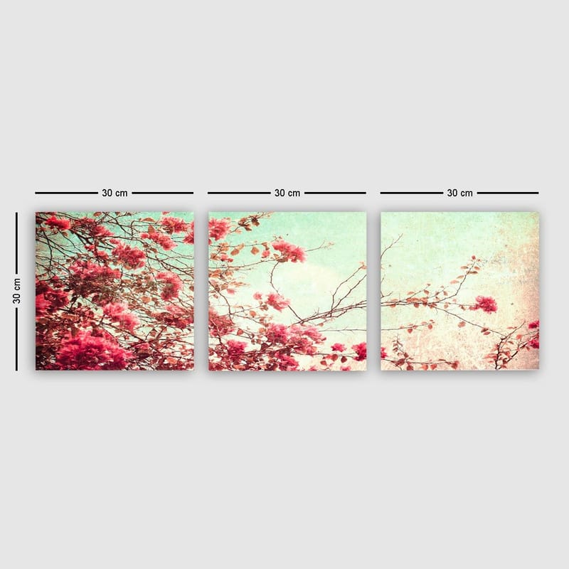 Dekorativ Canvasbilde 3-Deler 30x30 cm, Flerfarget
