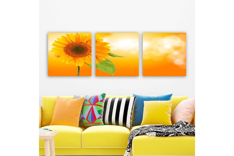 Dekorativ Canvasbilde 3-Deler 30x30 cm, Flerfarget