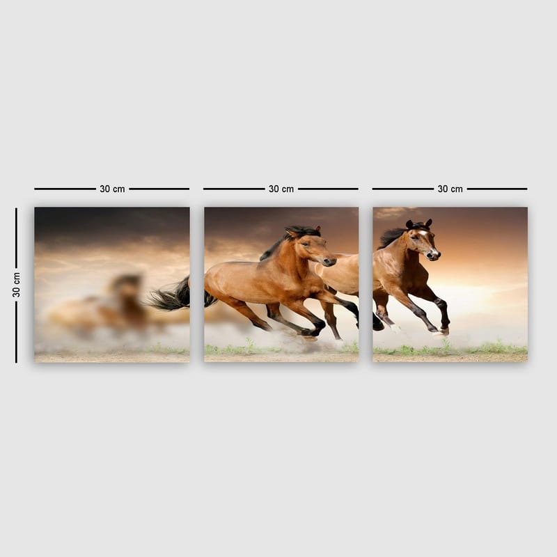 Dekorativ Canvasbilde 3-Deler 30x30 cm, Flerfarget
