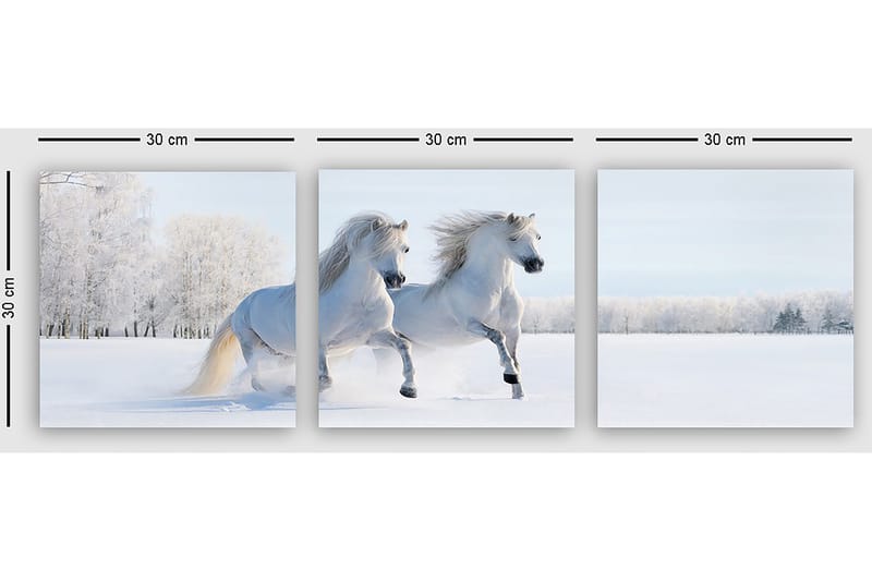 Dekorativ Canvasbilde 3-Deler 30x30 cm - Flerfarget - Innredning - Bilder & kunst - Lerretsbilder