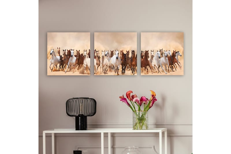 Dekorativ Canvasbilde 3-Deler 30x30 cm, Flerfarget