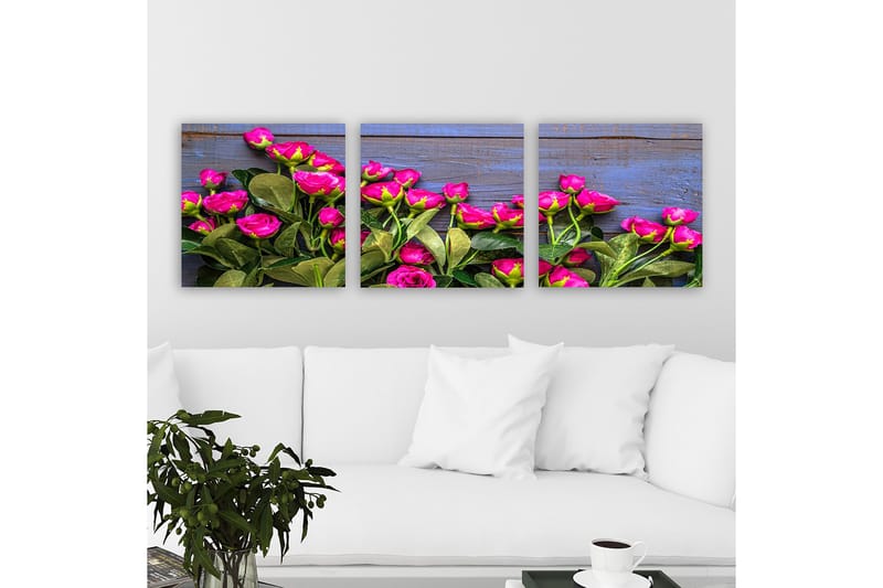 Dekorativ Canvasbilde 3-Deler 30x30 cm, Flerfarget