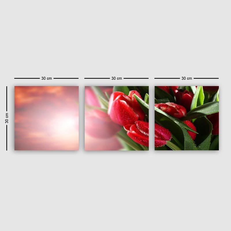 Dekorativ Canvasbilde 3-Deler 30x30 cm, Flerfarget