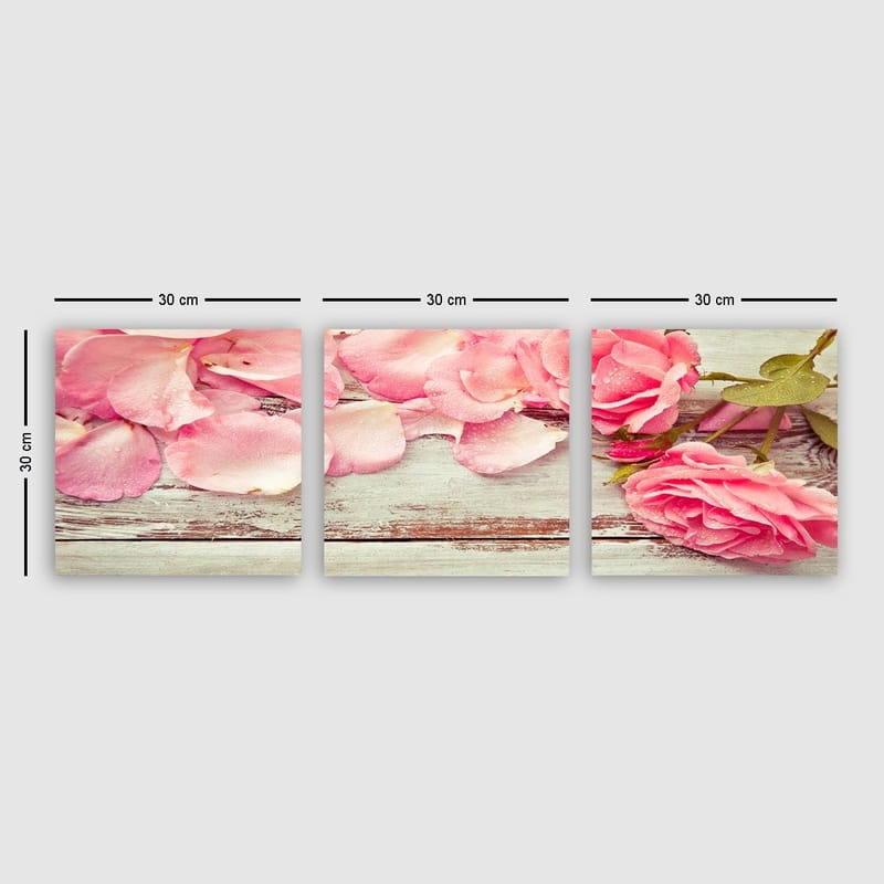 Dekorativ Canvasbilde 3-Deler 30x30 cm, Flerfarget