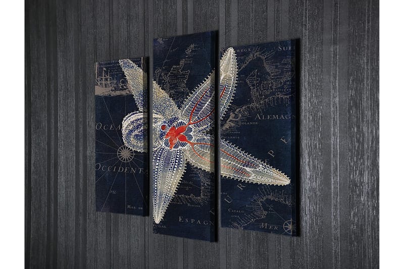 Dekorativ Canvasbilde 3-Deler 45x20 cm - Flerfarget - Innredning - Bilder & kunst - Lerretsbilder
