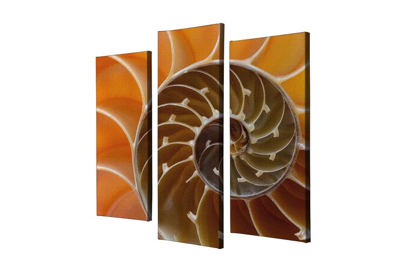 Dekorativ Canvasbilde 3-Deler 45x20 cm - Flerfarget - Innredning - Bilder & kunst - Lerretsbilder