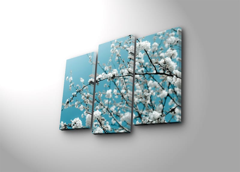 Dekorativ Canvasbilde 3-Deler 45x20 cm - Flerfarget - Innredning - Bilder & kunst - Lerretsbilder