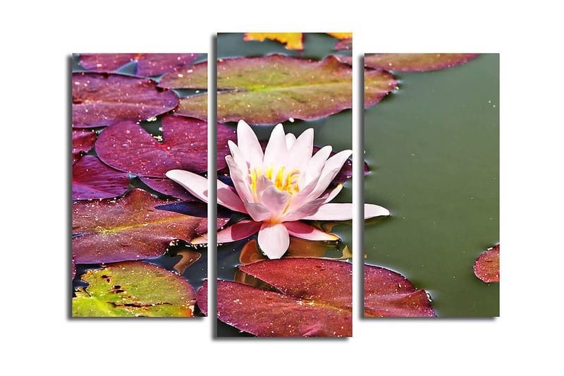 Dekorativ Canvasbilde 3-Deler 45x20 cm - Flerfarget - Innredning - Bilder & kunst - Lerretsbilder