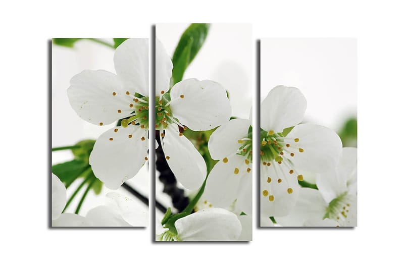 Dekorativ Canvasbilde 3-Deler 45x20 cm - Flerfarget - Innredning - Bilder & kunst - Lerretsbilder