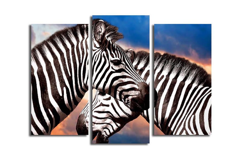 Dekorativ Canvasbilde 3-Deler 45x20 cm - Flerfarget - Innredning - Bilder & kunst - Lerretsbilder