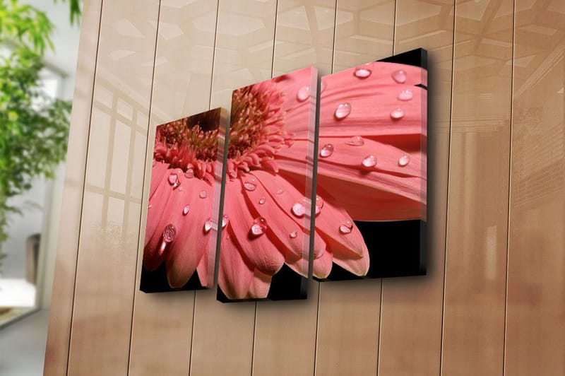 Dekorativ Canvasbilde 3-Deler 45x20 cm - Flerfarget - Innredning - Bilder & kunst - Lerretsbilder