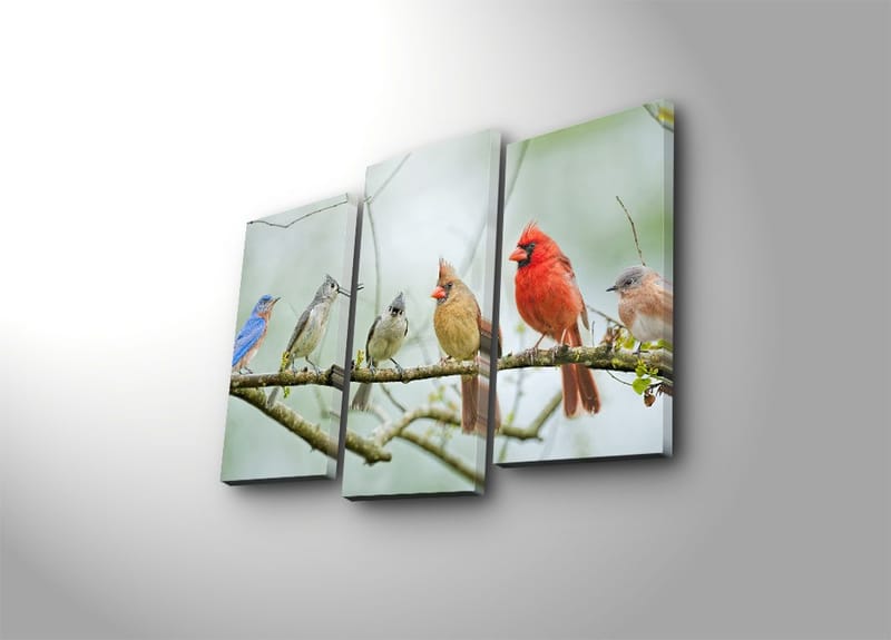 Dekorativ Canvasbilde 3-Deler 45x20 cm - Flerfarget - Innredning - Bilder & kunst - Lerretsbilder