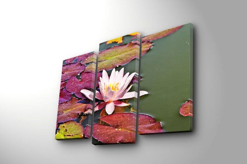 Dekorativ Canvasbilde 3-Deler 45x20 cm - Flerfarget - Innredning - Bilder & kunst - Lerretsbilder