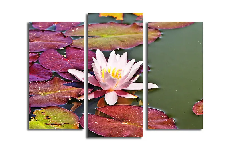 Dekorativ Canvasbilde 3-Deler 45x20 cm, Flerfarget