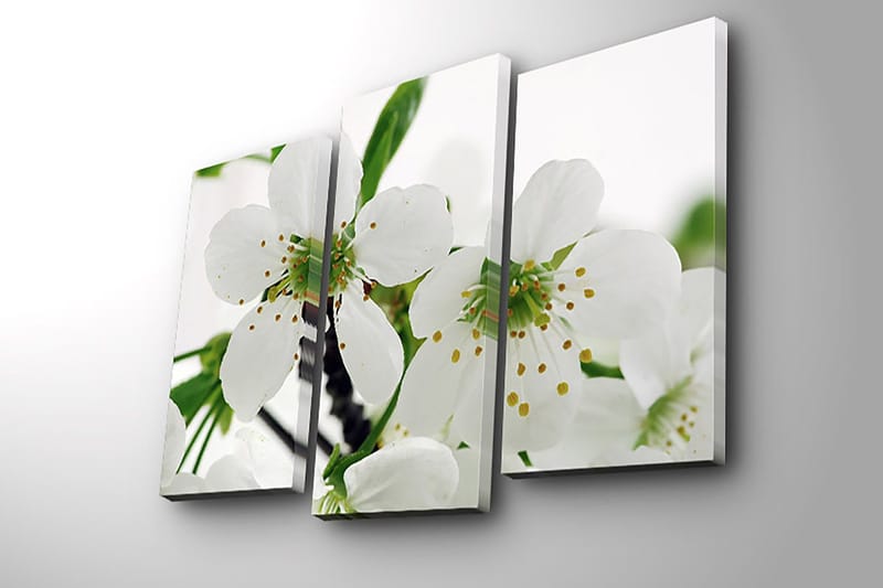 Dekorativ Canvasbilde 3-Deler 45x20 cm - Flerfarget - Innredning - Bilder & kunst - Lerretsbilder