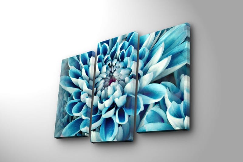 Dekorativ Canvasbilde 3-Deler 45x20 cm - Flerfarget - Innredning - Bilder & kunst - Lerretsbilder