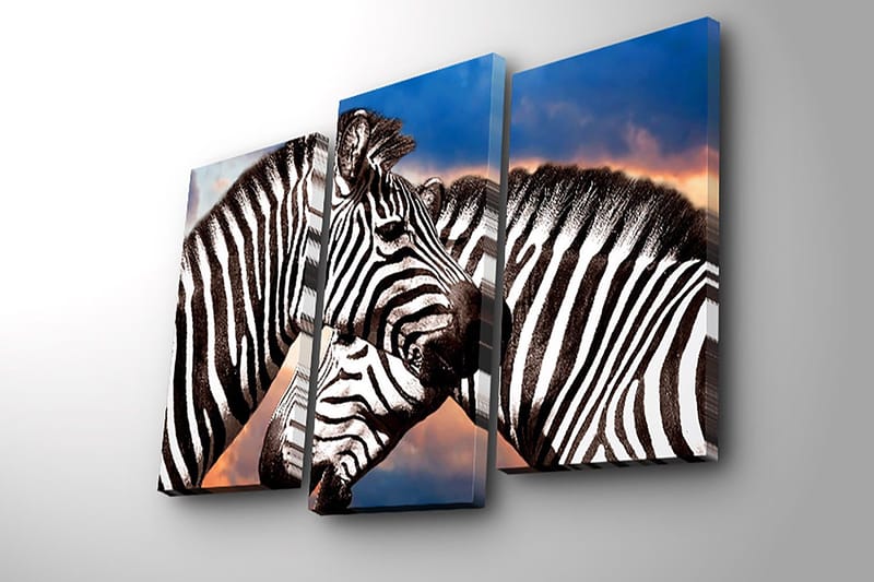 Dekorativ Canvasbilde 3-Deler 45x20 cm - Flerfarget - Innredning - Bilder & kunst - Lerretsbilder
