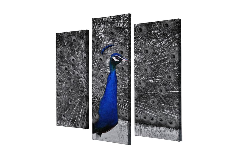 Dekorativ Canvasbilde 3-Deler 45x20 cm, Flerfarget