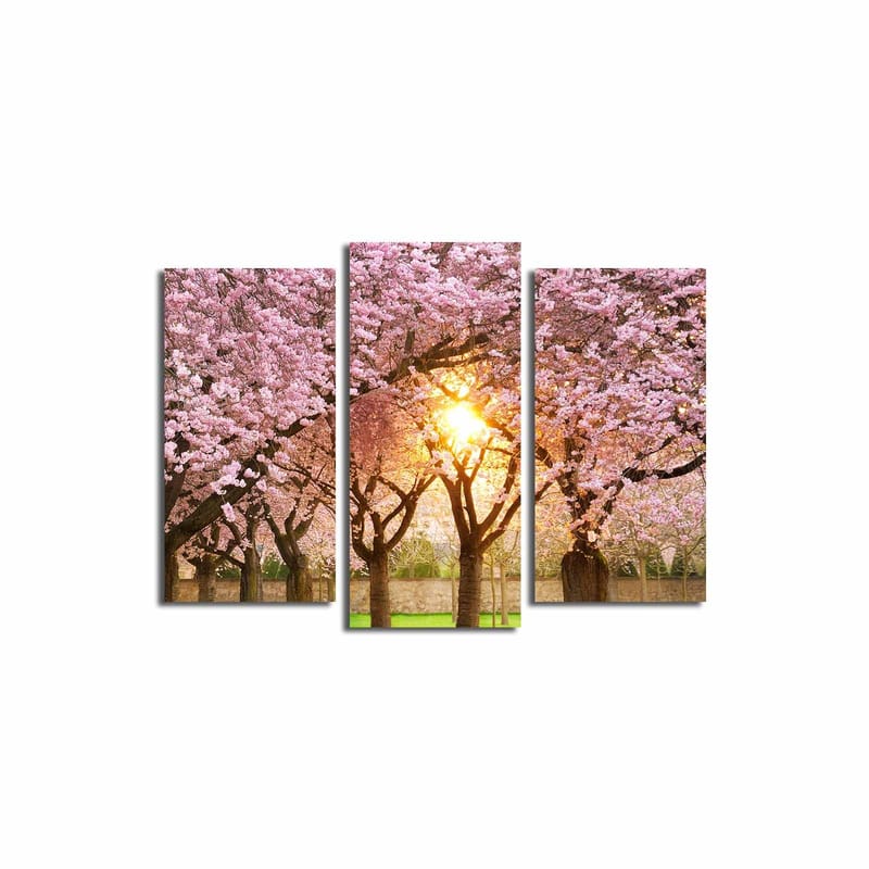 Dekorativ Canvasbilde 3-Deler 45x20 cm - Flerfarget - Innredning - Bilder & kunst - Lerretsbilder