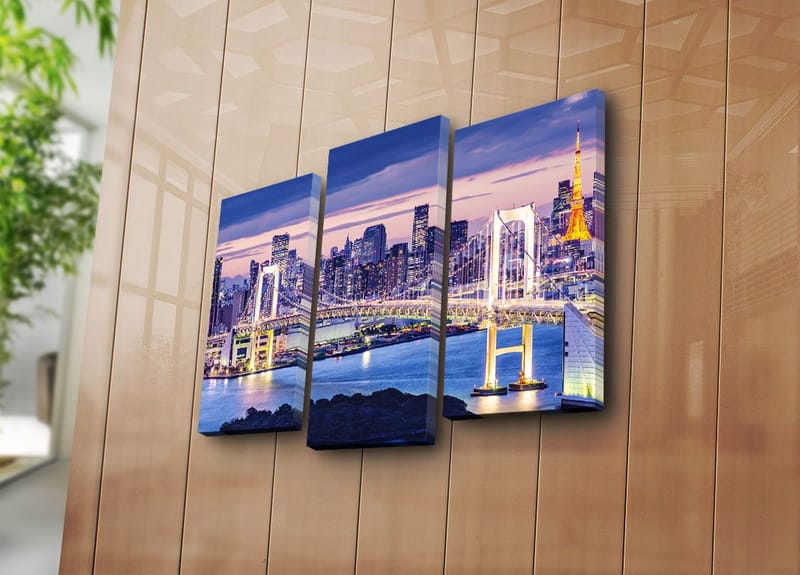 Dekorativ Canvasbilde 3-Deler 45x20 cm - Flerfarget - Innredning - Bilder & kunst - Lerretsbilder