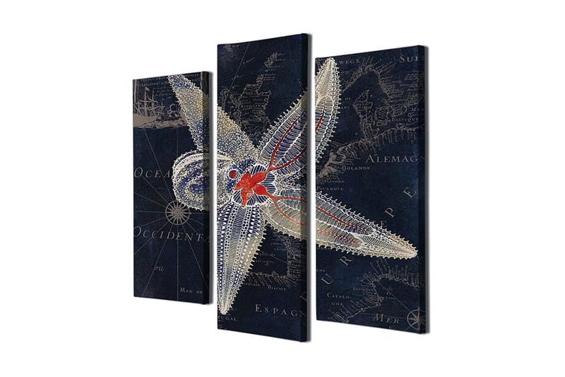 Dekorativ Canvasbilde 3-Deler 45x20 cm, Flerfarget